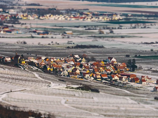 Panoramisch Uitzicht Besneeuwde Wijngaarden Het Rijndal Vogezen Frankrijk — Stockfoto