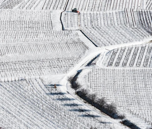 ライン渓谷 ヴォージュ山脈 フランスの雪に覆われたブドウ畑のパノラマドローンビュー — ストック写真
