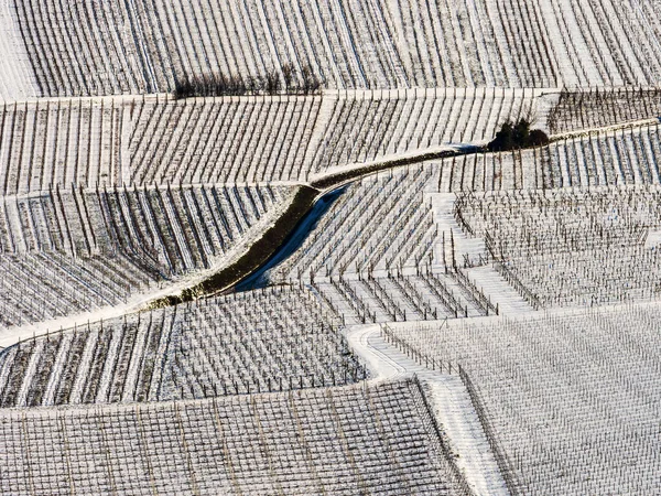 Panoramisch Uitzicht Besneeuwde Wijngaarden Het Rijndal Vogezen Frankrijk — Stockfoto