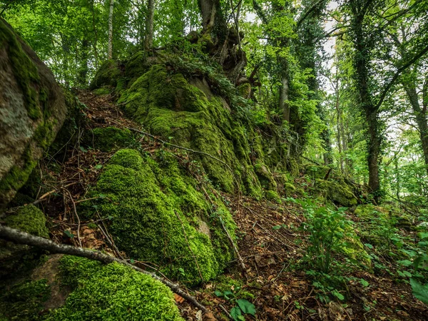 位于阿尔萨斯Vosges的中世纪城堡Landsberg山中的古老遗迹 — 图库照片