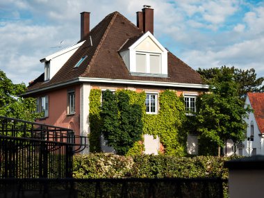 A beautiful house entwined with fresh spring ivy. The comfort and coziness of the old quarters of Strasbourg.