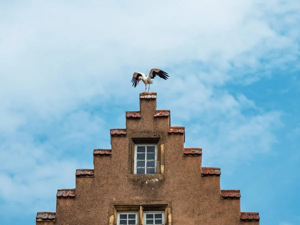 Medeltida Staden Rouffach Alsace Befästningar Torn Katedral Gamla Stan Frankrike — Stockfoto