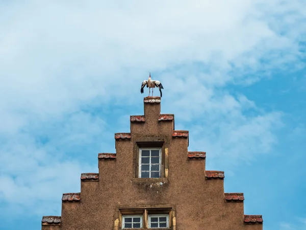 Středověké Město Rouffach Alsasku Opevnění Věže Katedrála Staré Město Francie — Stock fotografie