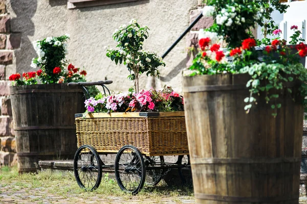 Güzel dekorasyon öğeleri alsace sokakların — Stok fotoğraf