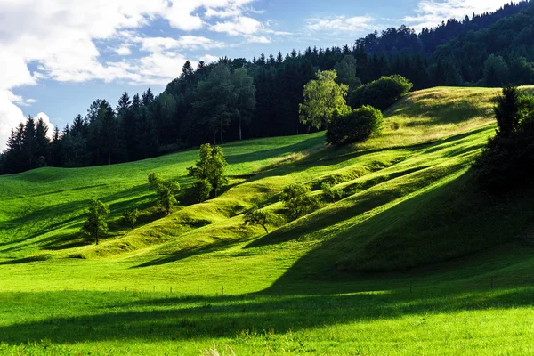 Beautiful green hills — Stock Photo, Image