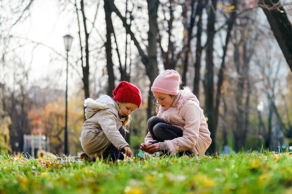 Sonbahar parkta oynayan iki kız kardeş — Stok fotoğraf