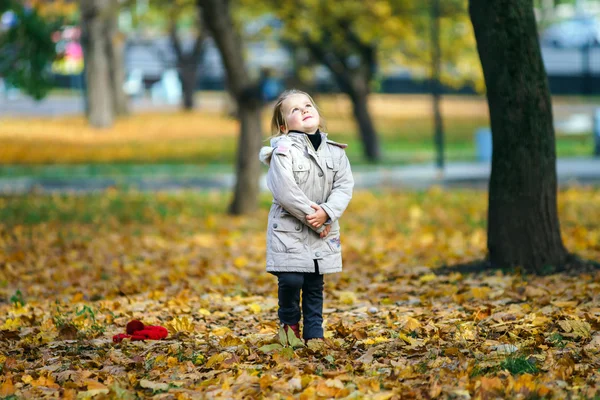 Sevimli küçük kız oyun sonbahar Park üzerinde — Stok fotoğraf