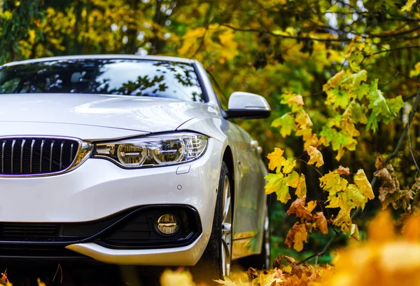 Luxury white car and autumn colors — Stock Photo, Image