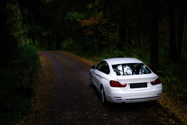 Роскошный белый автомобиль в темном лесу — стоковое фото