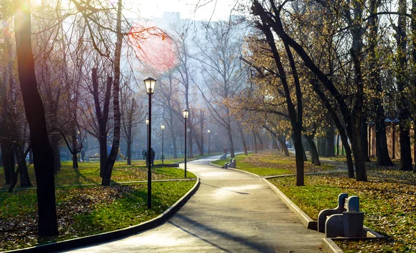 Färgglad höst i oktober offentlig park — Stockfoto