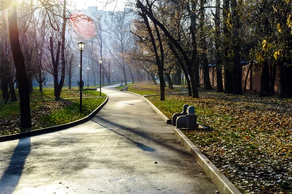 Färgglad höst i oktober offentlig park — Stockfoto