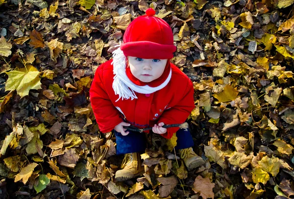 Cute adorable girl portrait in colorful autumnal park — Stock Photo, Image