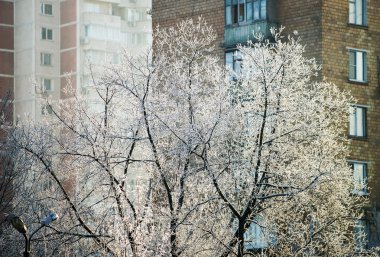 Kar kış hava Şehir Parkı içinde