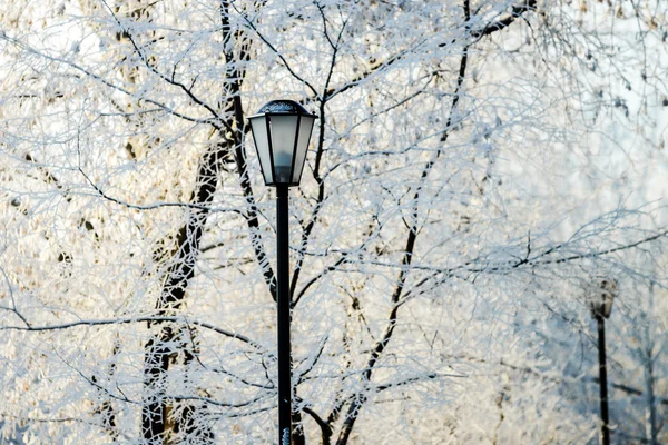 Straat lantaarn in winter besneeuwde stadspark — Stockfoto