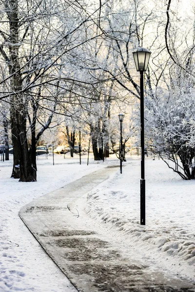 冬の雪に覆われた都市公園における街路灯 — ストック写真