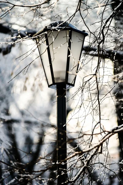 Gatan lykta i vinter snöiga stadsparken — Stockfoto