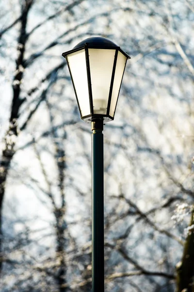 Lanterna stradale nel parco urbano innevato invernale — Foto Stock