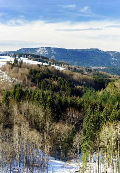 Bela paisagem vista da floresta de inverno — Fotografia de Stock