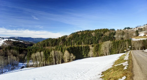 Bela paisagem vista da floresta de inverno — Fotografia de Stock