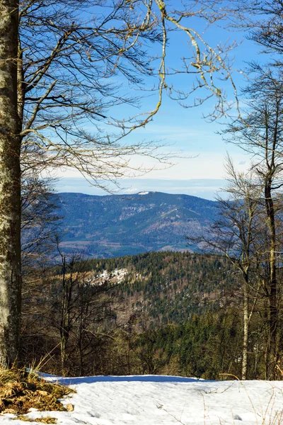 Hermosa vista del paisaje del bosque de invierno —  Fotos de Stock