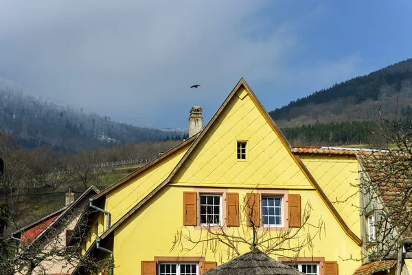 Traditional alsace country house, spring day — Stock Photo, Image