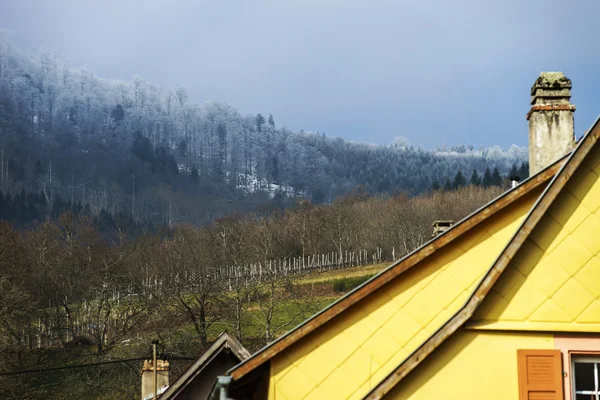 Hagyományos elzászi country house, tavasz — Stock Fotó