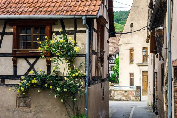 Maison typique d'alsacien dans petit village, Bas-Rhin — Photo