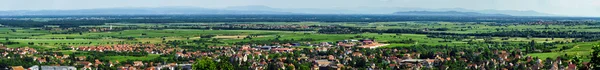 Breed panoramisch uitzicht naar Alsacevineyards, Frankrijk — Stockfoto