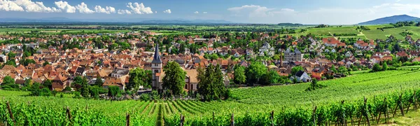 Weiter Blick auf die elsässischen Weinberge, Frankreich — Stockfoto