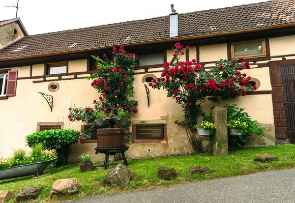Typisches elsässisches Haus in kleinem Dorf, bas-rhin — Stockfoto