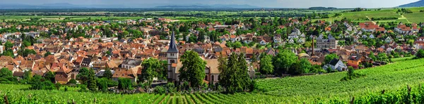 Ampia vista panoramica su Alsacevineyards, Francia — Foto Stock