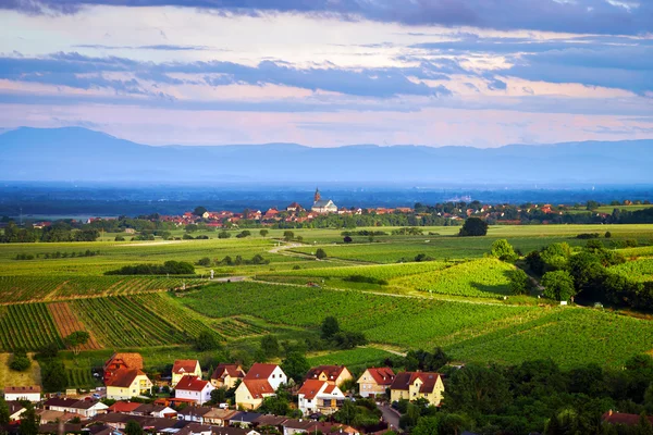 Bird-fly overview to small village in Alsace — Stock Photo, Image