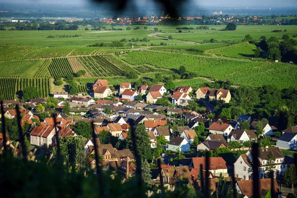 Panoramica sul volo degli uccelli nel piccolo villaggio in Alsazia — Foto Stock