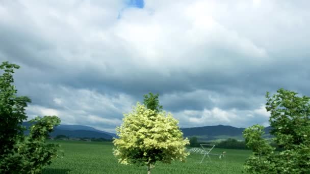 Landbouw concept. Auto irrigatie op velden. Stormachtig weer, zomerdag. — Stockvideo