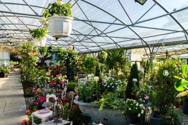 Küçük bir çiftlik bitkilerin güneşli sera