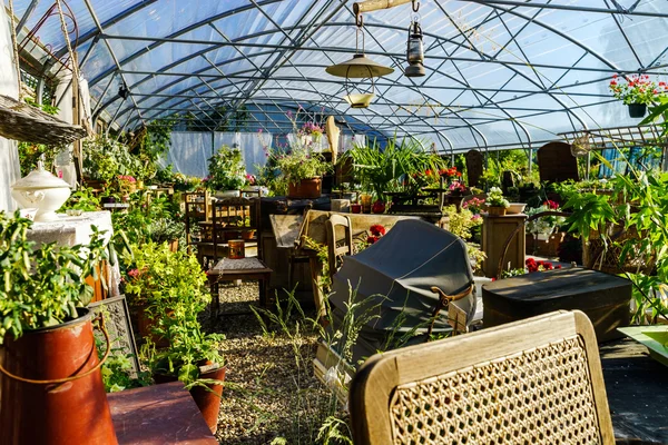 Sunny hothouse in a little farm of plants — Stock Photo, Image