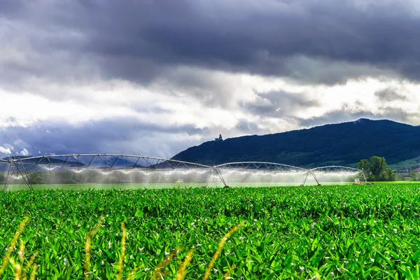 Auto irrigation systems on french rural fields. Agricultural con — Stok fotoğraf