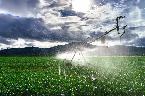 Sistemas de irrigação automática em campos rurais franceses. Conclusão agrícola — Fotografia de Stock