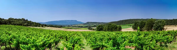 Vacker panoramautsikt över Montagne Sainte-Victoire, Provence — Stockfoto