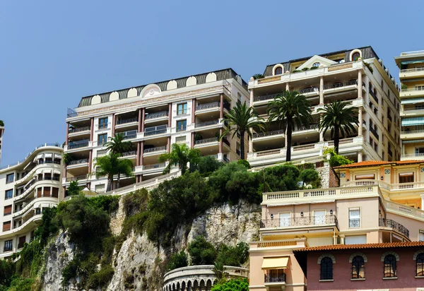 Decorative plants on streets of Monaco — Stock Photo, Image