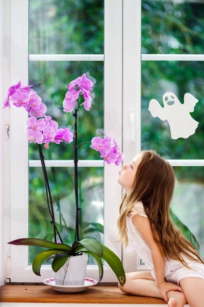 Sevimli küçük kız yeni PVC pencere kenarında oturan çiçek ile kablosuz — Stok fotoğraf