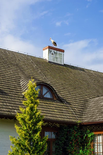 Большой аист на крыше дома — стоковое фото