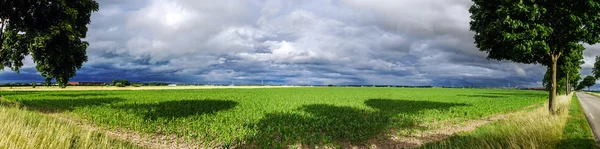 Prachtig panoramisch uitzicht van efficiënt velden — Stockfoto