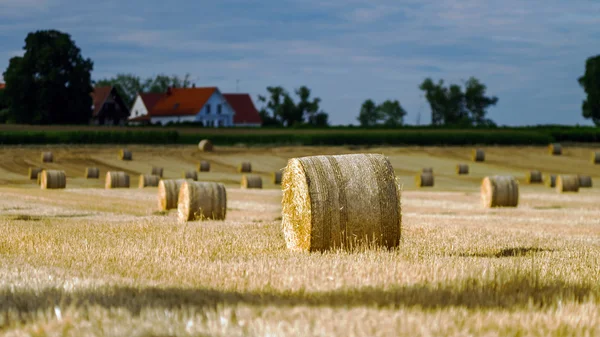 Belo campo amarelo com palheiro ao pôr do sol — Fotografia de Stock