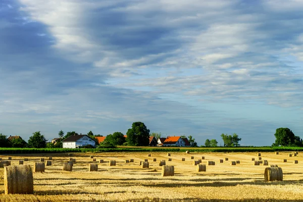 Belo campo amarelo com palheiro ao pôr do sol — Fotografia de Stock