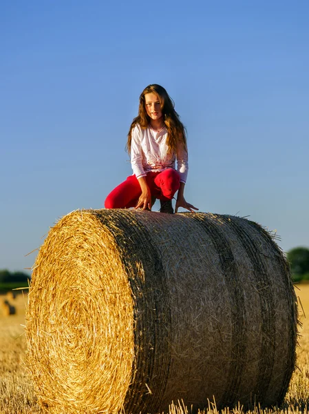 Adolescente com cabelos longos posando no campo de verão, campo — Fotografia de Stock