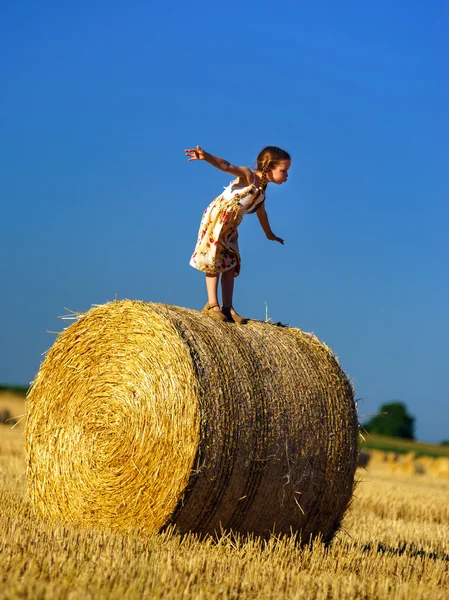 Engraçado bonito menina posando no palheiro no campo de verão — Fotografia de Stock