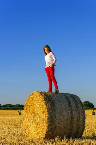 Adolescente aux cheveux longs posant dans un champ d'été, à la campagne — Photo