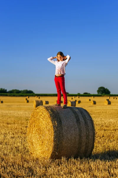 Adolescente aux cheveux longs posant dans un champ d'été, à la campagne — Photo