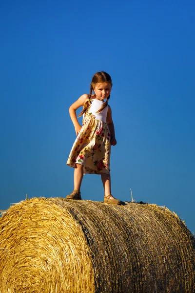 Petite fille mignonne drôle posant sur la meule de foin dans le champ d'été — Photo